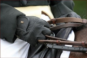 Irlandês assume o comando provisório em Necarne Castle